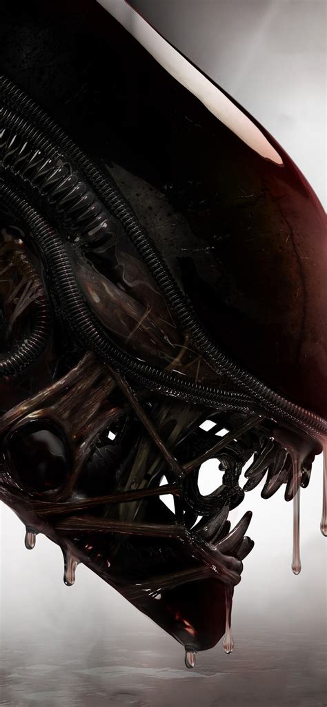 We have 62+ amazing background pictures carefully picked by our community. 1125x2436 Aliens Xenomorph Creature 4k Iphone XS,Iphone 10,Iphone X HD 4k Wallpapers, Images ...