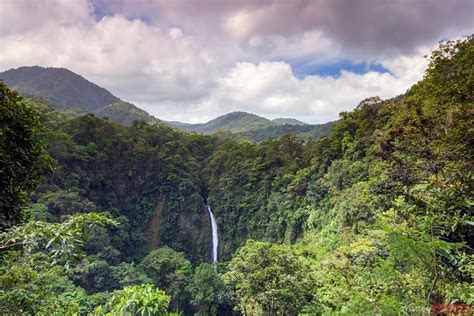 La Fortuna Waterfall In The Green Rainforest Of Costa Rica Royalty