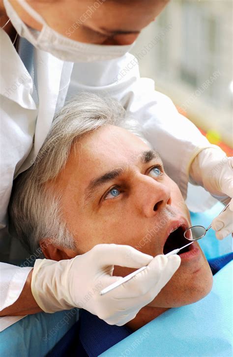 Dentist Stock Image C0309496 Science Photo Library