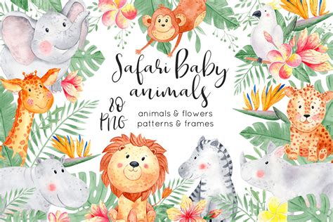 Watercolor Safari Baby Animals Animal Illustrations Creative Market