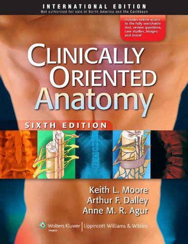 Clinically Oriented Anatomy Uk Keith L Moore Arthur F