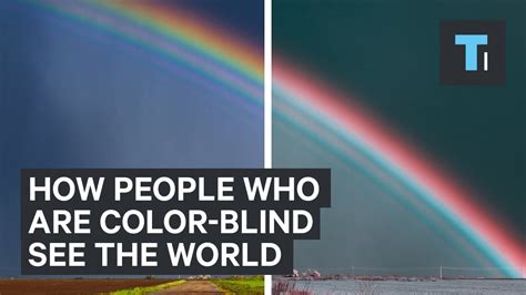 How People Who Are Color Blind See The World Youtube