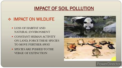 Soil Pollution Full Case Study Causes Impacts Facts Figureout