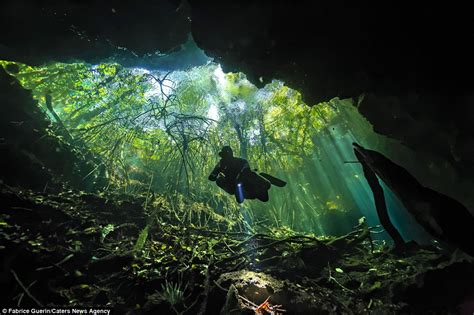 Scuba Diver Explores Incredible Ancient Mayan Sinkhole In The Yucatan