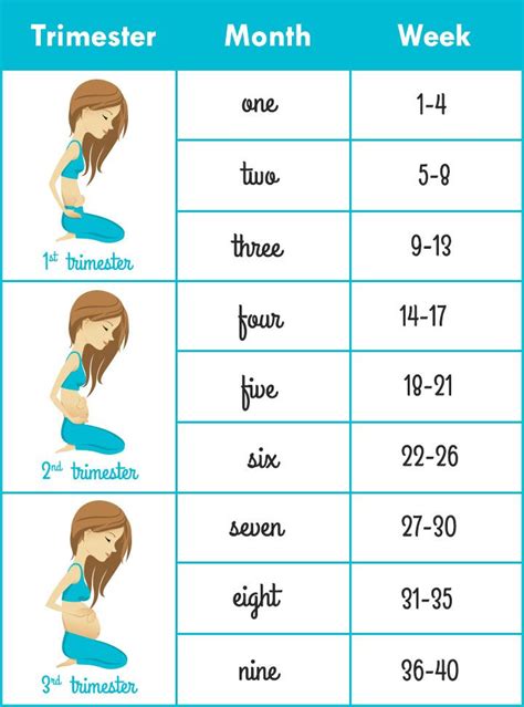 Week To Month Pregnancy Chart Pregnancy Chart Pregnancy Tips