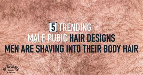 Outstanding Most Popular Pubic Hairstyles For Men