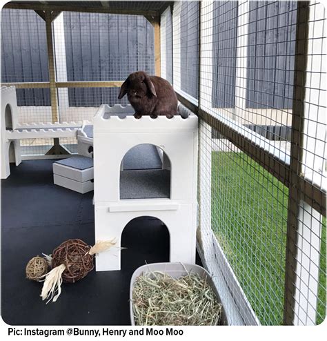 The Rabbit Home That Has The Wow Factor Best4bunny