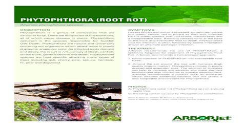 Phytophthora Root Rot · Pdf Filephytophthora Root Rot Infection
