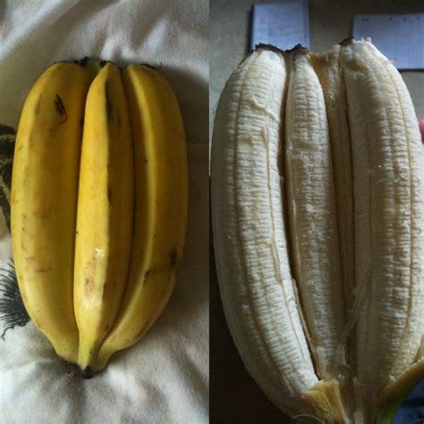 Three Bananas In One Skin Found At The Farmers Market R