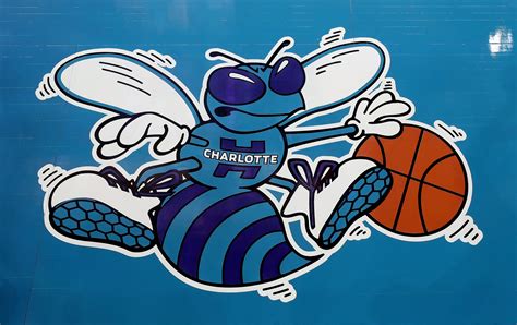 Gear up to cheer on your charlotte hornets during the season with all the hottest hornets gear and apparel for every fan. The results of our greatest Charlotte Hornets player ever ...