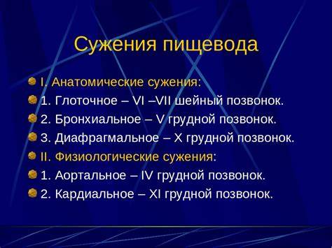 5. Топографическая анатомия пищевода: отделы, сужения, отношение к Картинка - 5. Топографическая анатомия пищевода: отделы, сужения, отношение к