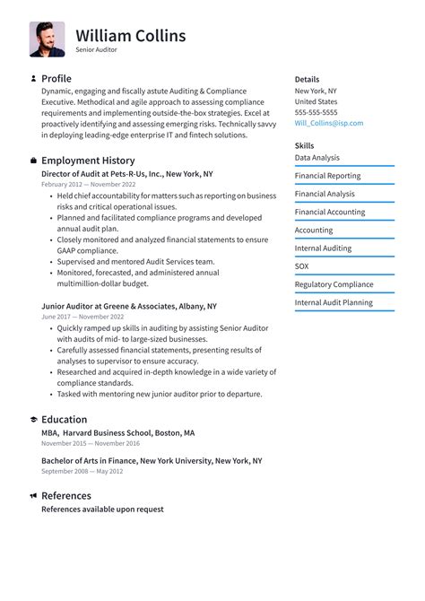 Auditor Resume Examples And Writing Tips 2024 ·
