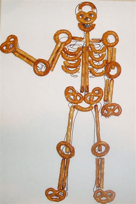 Pretzel Skeleton Human Skeleton For Kids Skeletal System Project