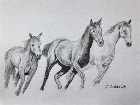 Running Wild Horses In Graphite Pencil 2020 Horse Art Drawing Horse