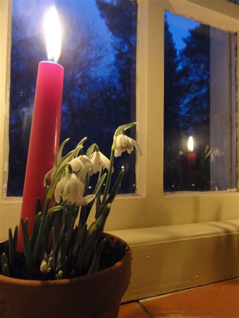 Attingham Park Wardens Blog Snowdrop Weekend Candle Lit Walks