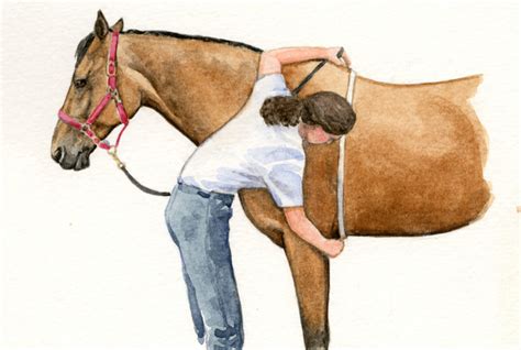 Measure the circumference of your calf. Measuring your Horse, Foal or Donkey for Weight ...