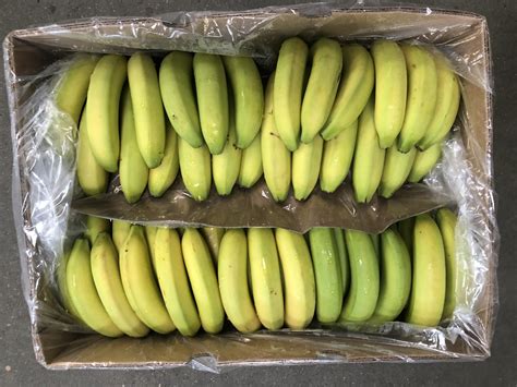 Bananas Fairtrade Langridge Organic Products Ltd