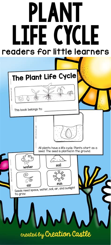 Easy Printable Reader On The Plant Life Cycle For Kindergarten Or First