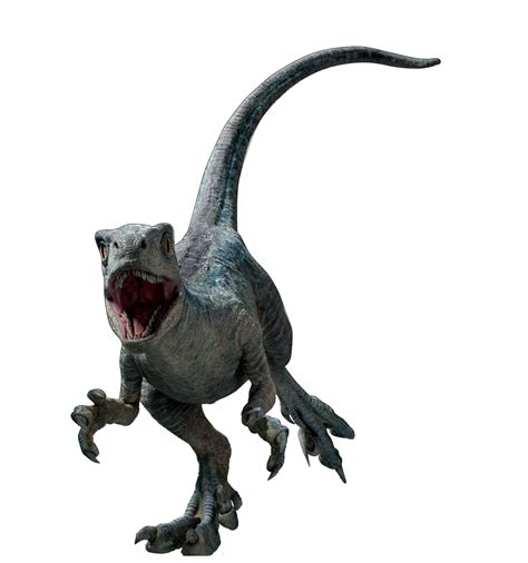 Jurassic World Dominion Blue Beta Velociraptor Realbig Officially