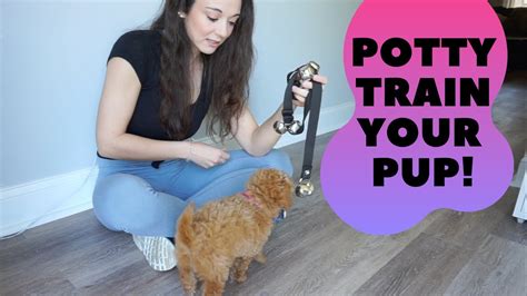38 Droll How To Train Puppy To Go Potty Outside Photo Hd Uk