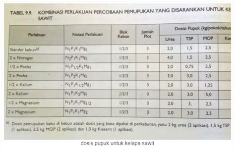 Panduan Cara Menanam Kelapa Sawit Lengkap Yang Baik Dan Benar Tips Petani