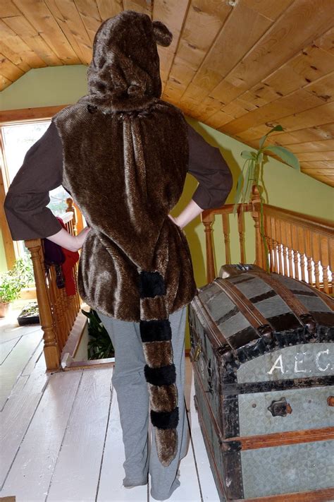 Homemade Woodland Raccoon Costume Small Medium