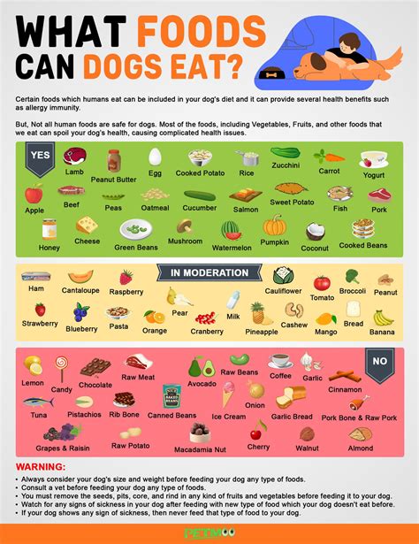 What Fruits And Veg Can Dogs Eat