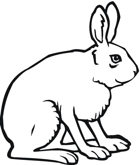 Cute Baby Rabbit Coloring Page Free Printable Coloring Pages For Kids