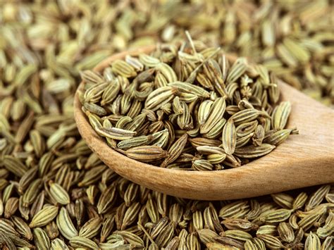Fennel seeds are highly aromatic spices that are used for various domestic as well as medicinal applications. Fennel Seeds for Weight Loss, Bad Odour and More