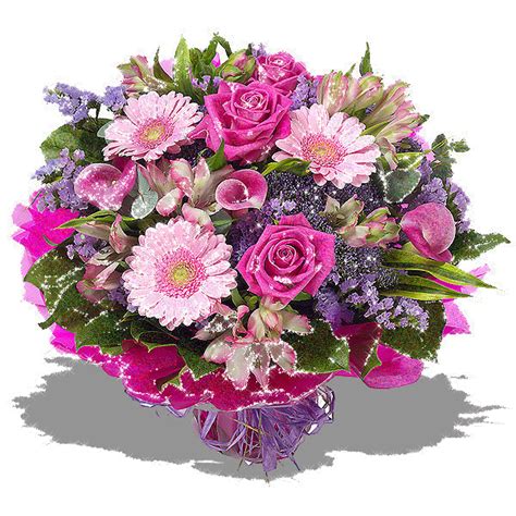 flowers for my fairy sister ♥ yorkshire rose fan art 33239411 fanpop