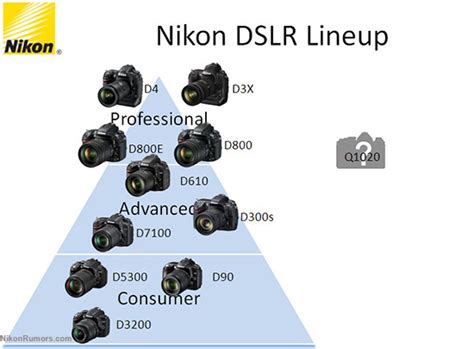 Nikon Dslr Lineup And The New Df Camera Nikon Rumors
