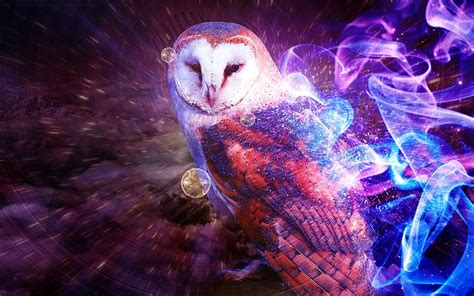 Purple Owl Owl Hipster Galaxy Hd Wallpaper Pxfuel