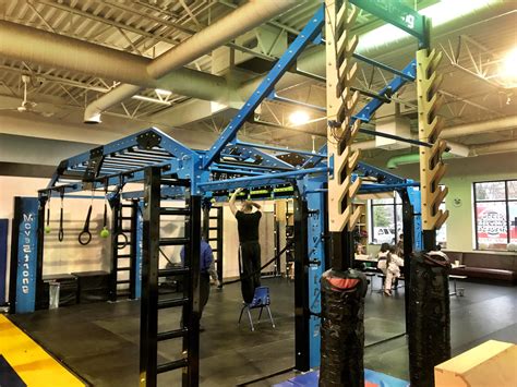 MoveStrong Nova XL functional training equipment with Salmon Ladder for