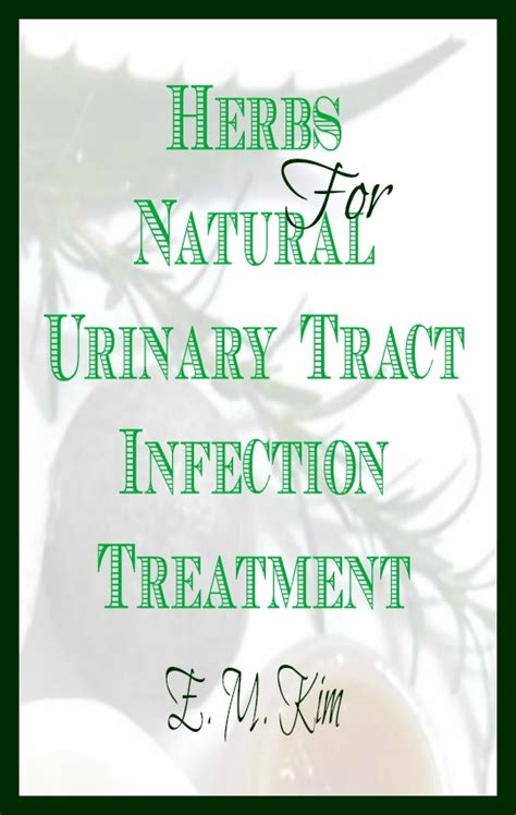 Herbs For Natural Urinary Tract Infection Treatment Healing Bookstore