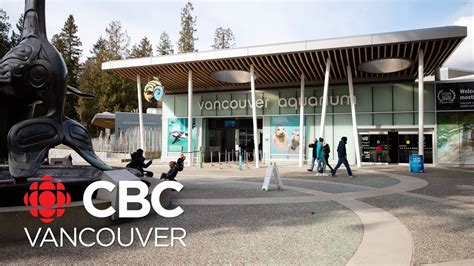 Vancouver aquarium promo code & deal last updated on july 4, 2021. Vancouver Aquarium could close permanently without ...