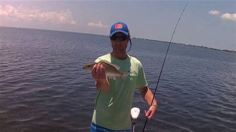 Snook Redfish Trout The Slam In Tampa Bay Youtube