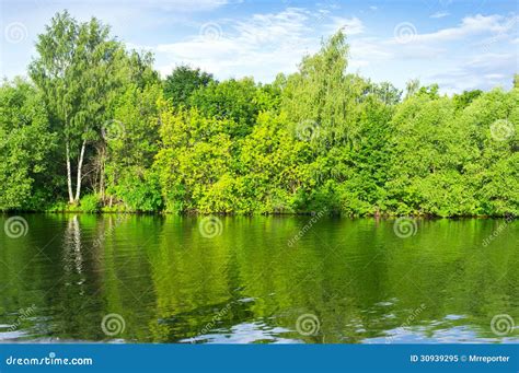 River Bank Stock Image Image Of Tranquil Nature Scenic 30939295