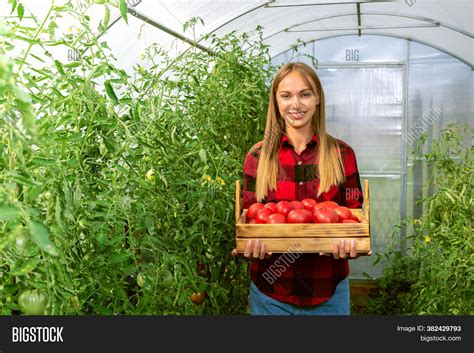 Young Woman Harvesting Image And Photo Free Trial Bigstock
