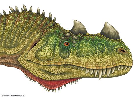 Ceratosaurus Head Study By Mmfrankford On Deviantart Jurassic Park