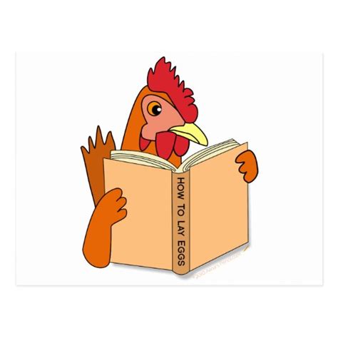 Funny Chicken Reading Book Cartoon Hen Postcard Zazzle