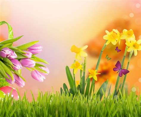 Spring Iphone Wallpaper Bing Images Beautiful Flowers