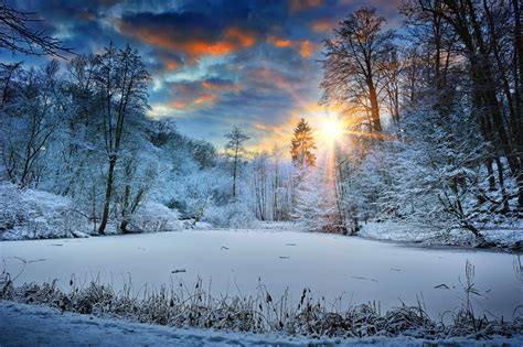 Sunbeams Landscape Snow In Winter Trees 4k Hd Nature 4k Wallpapers
