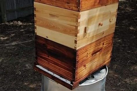 Beehive Honey Supers For Sale Beehives Beekeeping For Sale In Northern