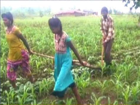 Madhya Pradesh Financial Crisis Forces Farmer To Use Daughters To Pull Plough News Times Of