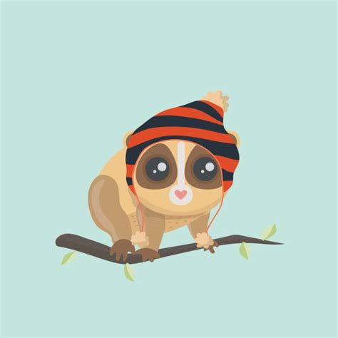 Slow Loris Images Illustrations Royalty Free Vector Graphics And Clip Art Istock