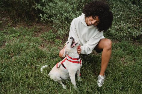 The child's date of birth. Find out if your furry friend has fleas in 2 easy steps ...