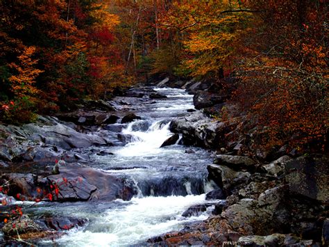 Cascading Rapids Landscape In Great Smoky Mountains National Park