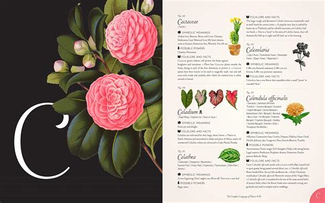 Plants and flowers are used as symbols in the hebrew bible, particularly of love and lovers in the song of. The Complete Language of Flowers - S. Theresa Dietz