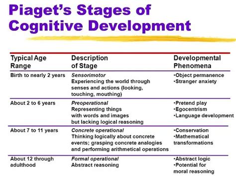 Vygotsky Summary Vygotsky S Theory Of Cognitive Development Stages