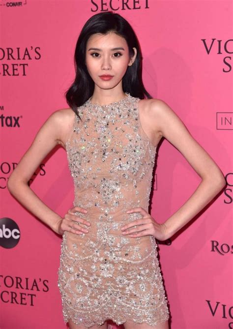 House of roderick s sunset in xi an 9 12 12 033 flickr. Ming Xi - 2018 Victoria's Secret Fashion Show After Party ...
